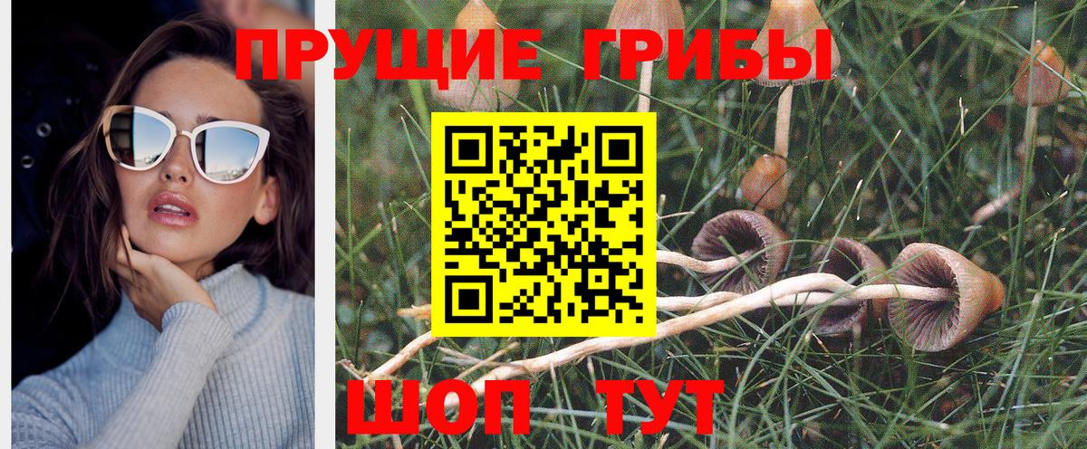 Галлюциногенные грибы Psilocybe  Вход с VPN  Галлюциногенные грибы Psilocybe  Бирск 