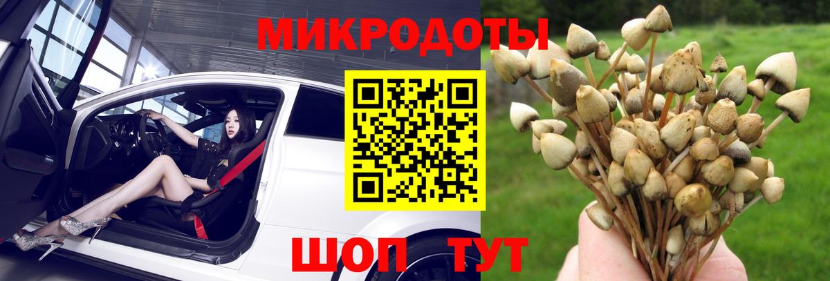 Псилоцибиновые грибы мицелий Бирск
